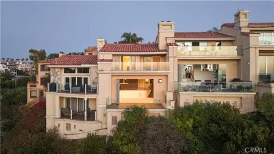 315 Carnation photo 2