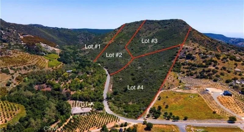 0 El Calamar Road