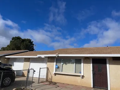 16503 Smoke Tree 1