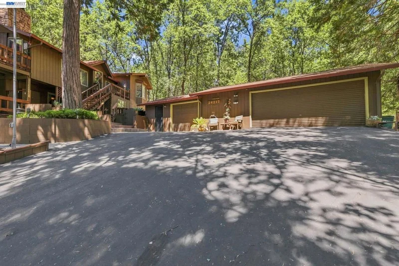 24217 Appaloosa Way photo 2