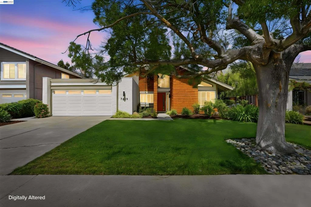Interior 1