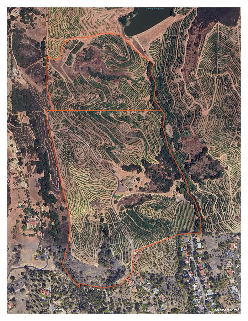 1500 Camino Rio Verde