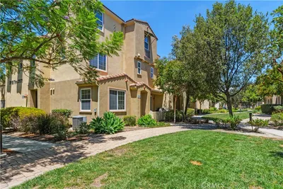 31167 Mountain Lilac