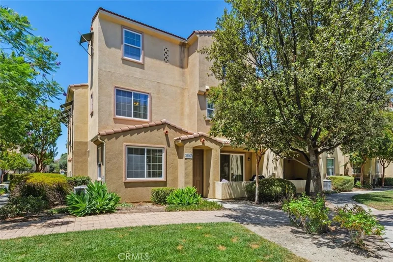31167 Mountain Lilac photo 2