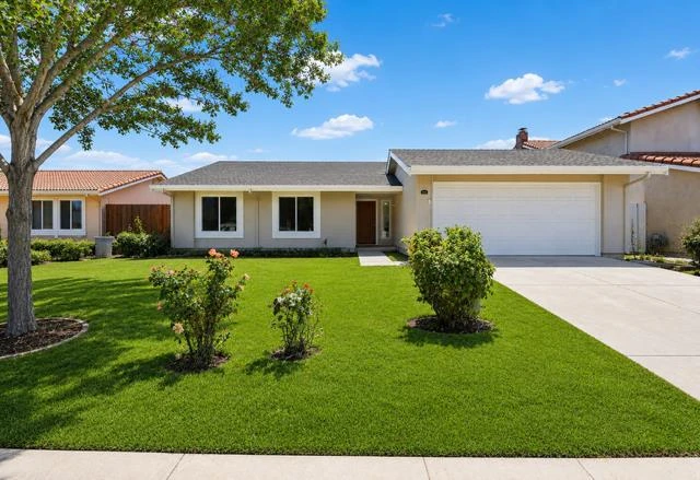 Main