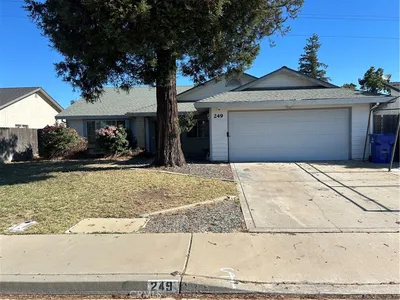 249 Live Oak