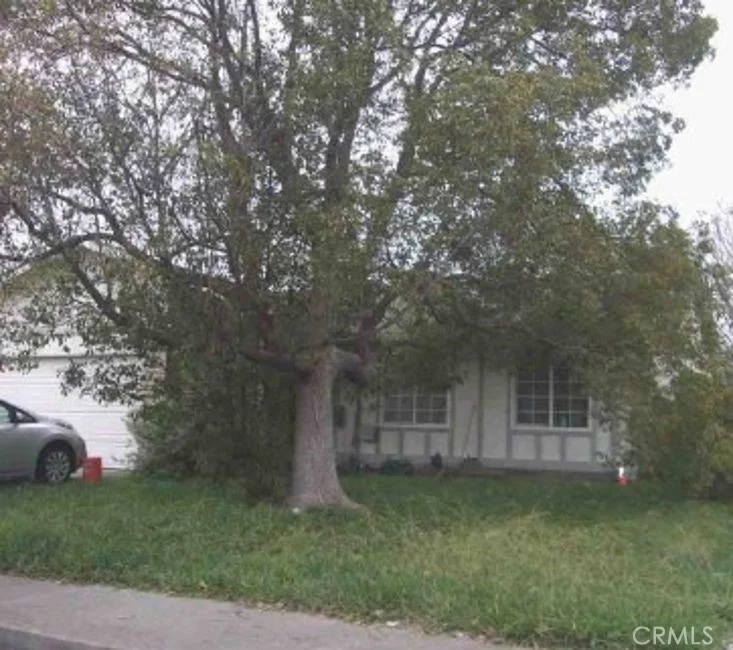 2534 Sunrise photo 2