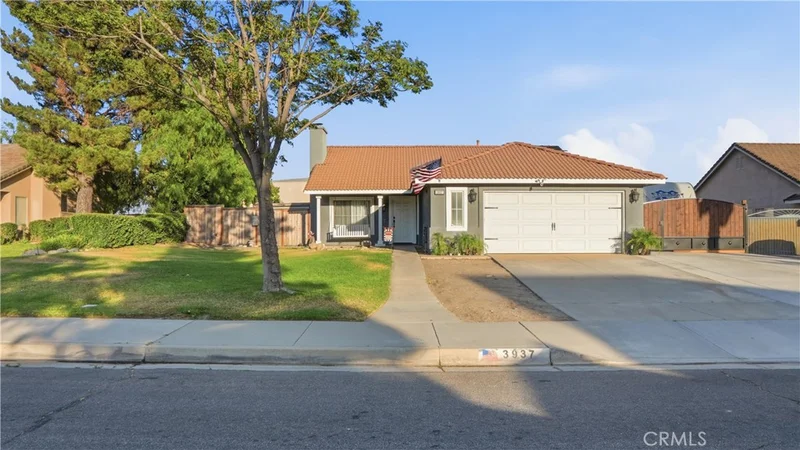 3937 Dove Tree