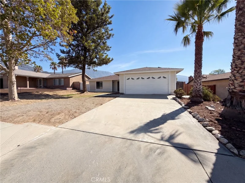 6113 Shepherd