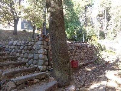 1021 Coulter Pine photo 2