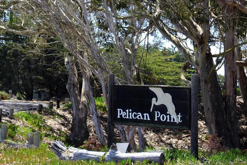 76 Pelican photo 2