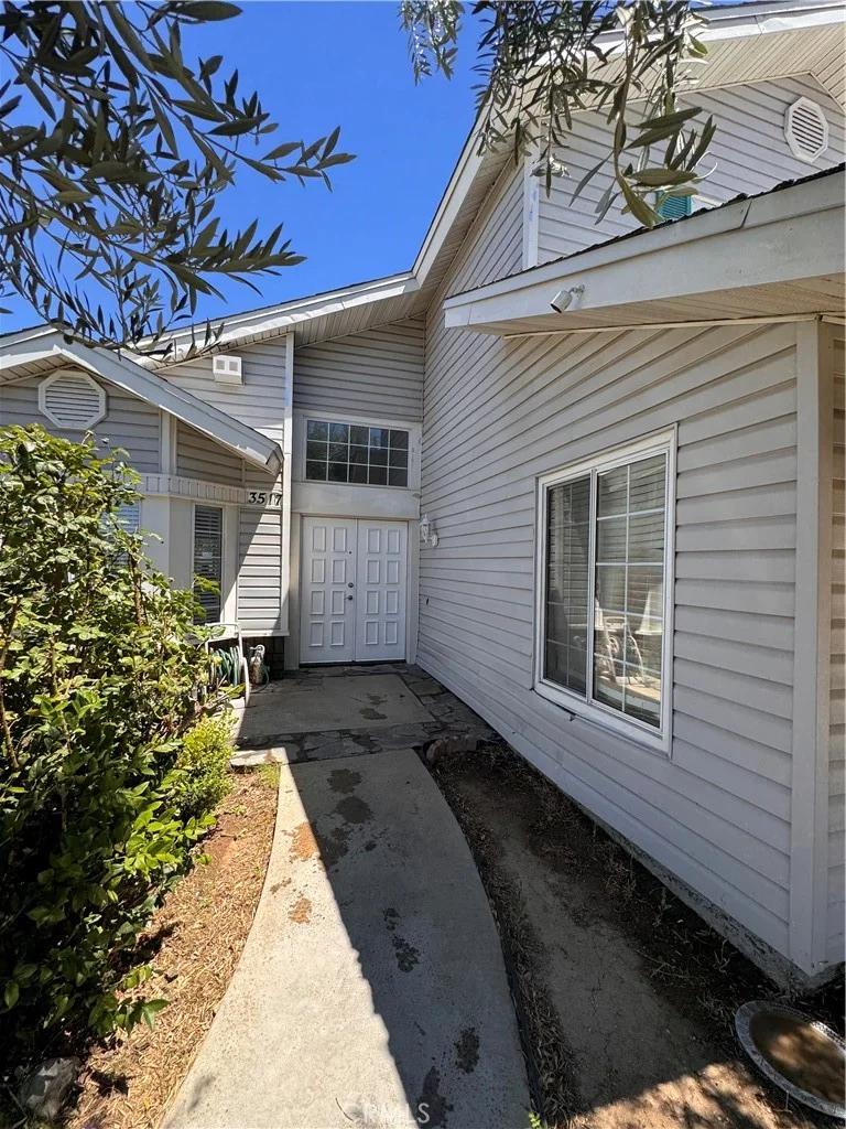 3517 Apollo photo 2