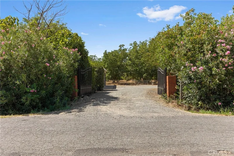 23353 Hamilton photo 2