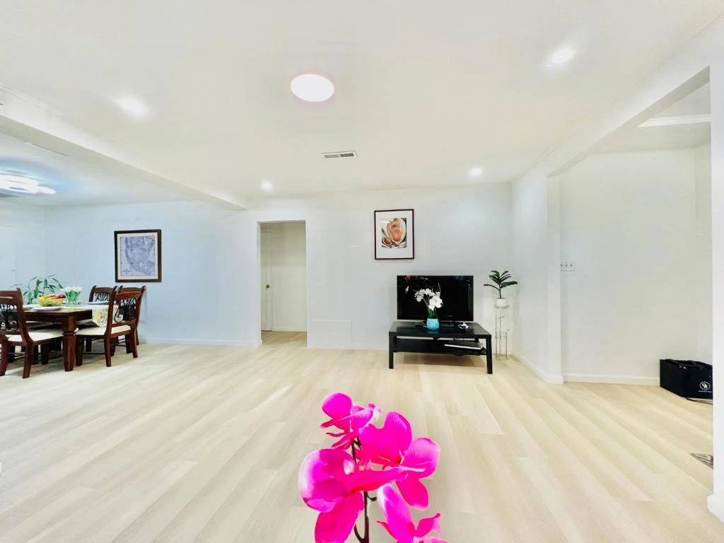 Interior 4