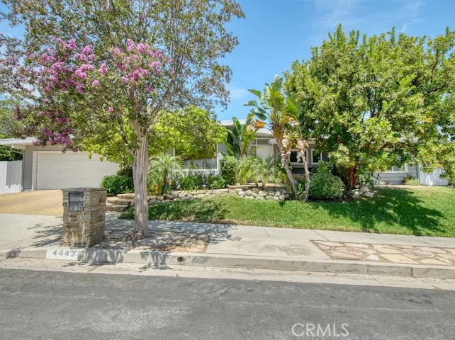 4443 Callada