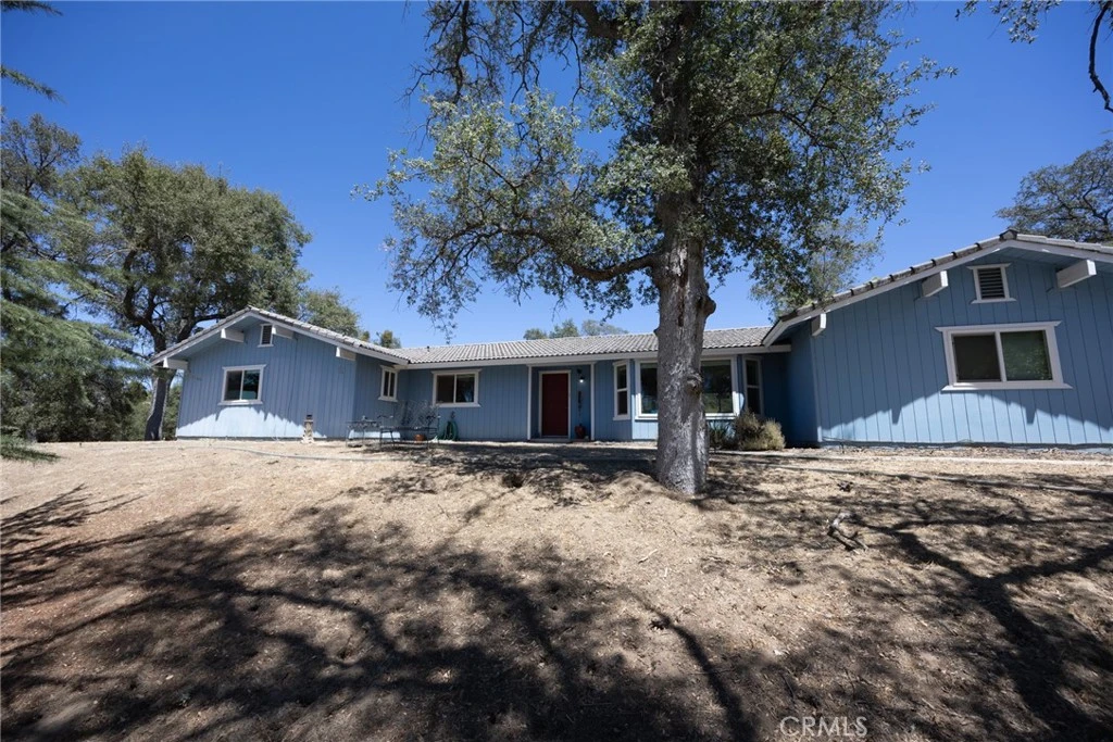 Interior 4