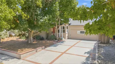 1384 Palms