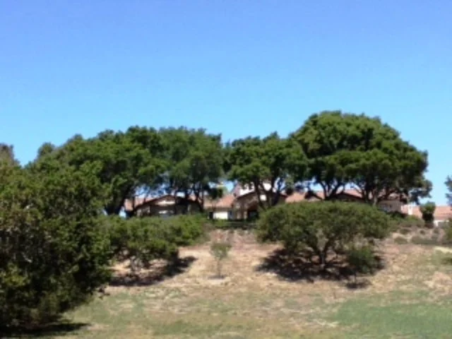 11251 Saddle Road, Monterey, CA 93940
