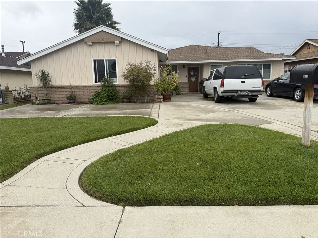 Main