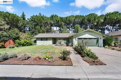 2465 W Benjamin Holt Dr