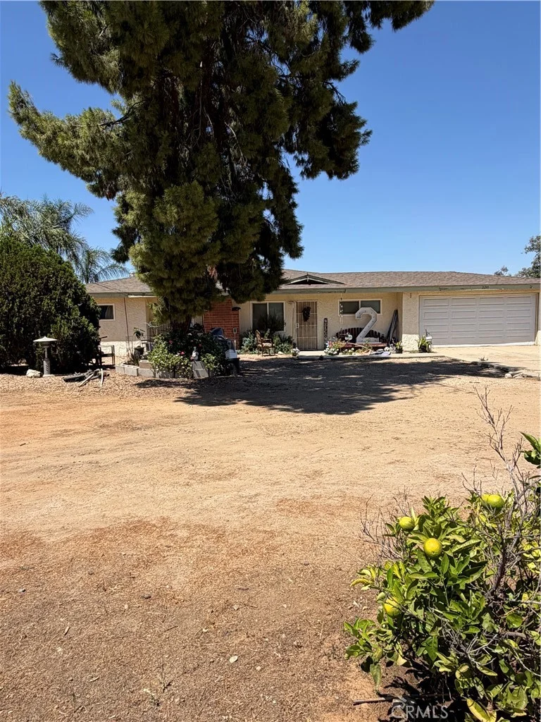 21210 Rider Street photo 2