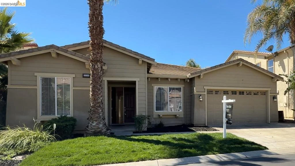Main