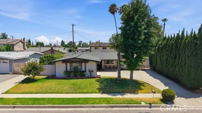 3234 Conata photo 2