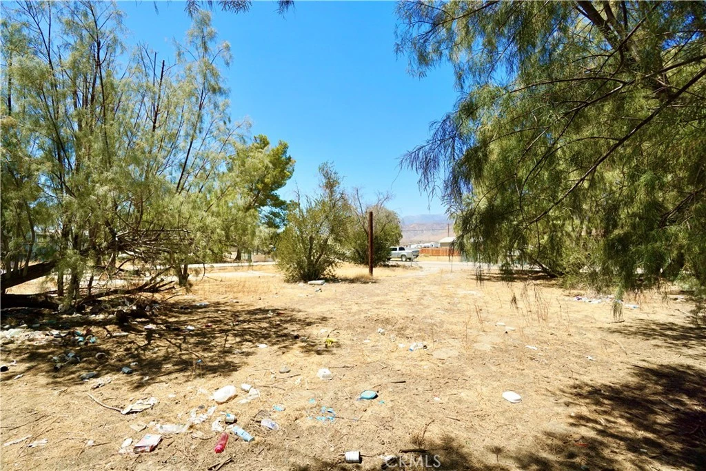 Interior 4