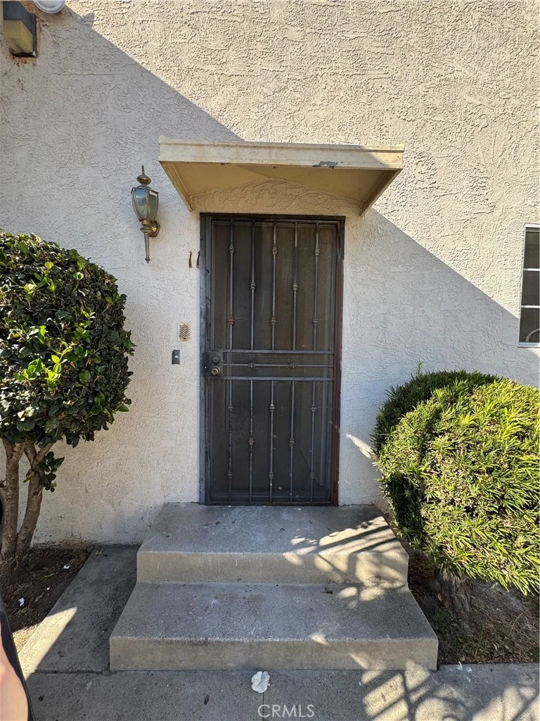 921 Carob photo 2