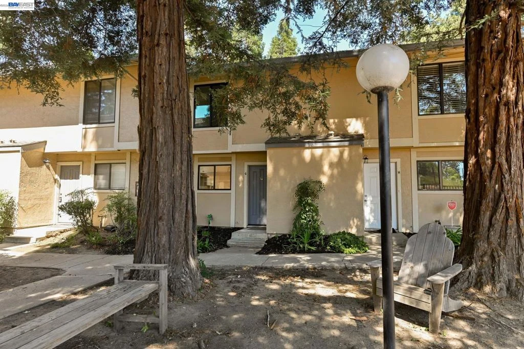 Main