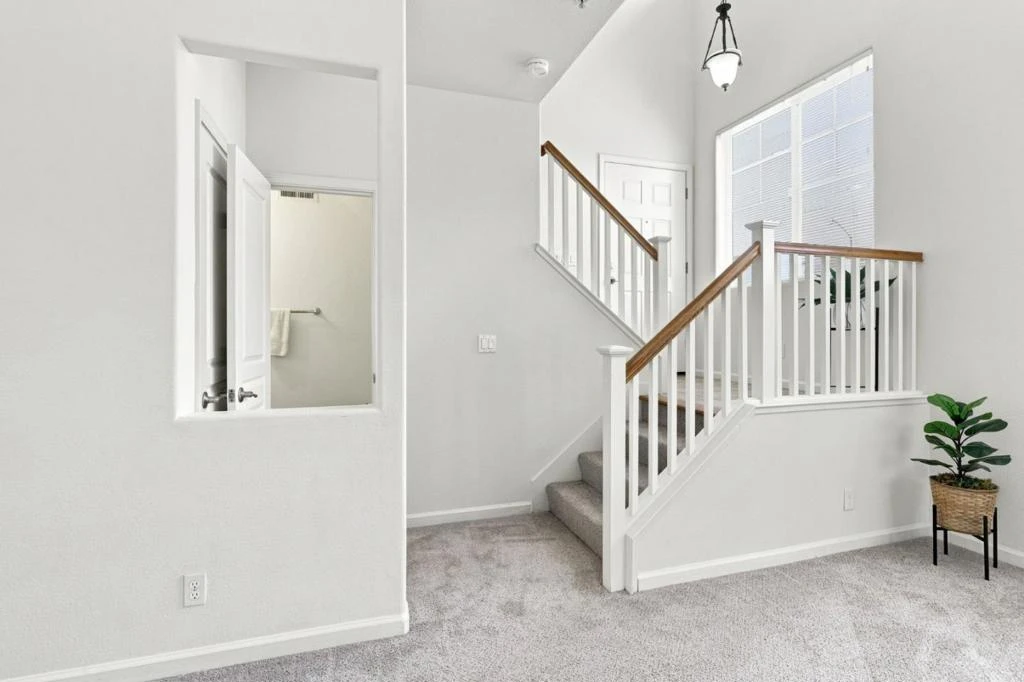 Interior 4