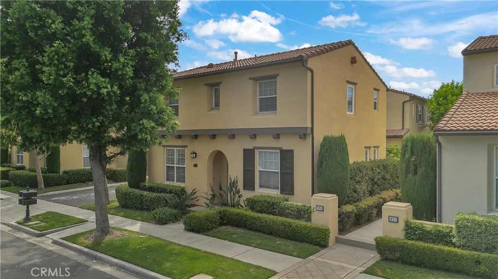 Main