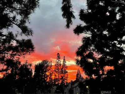 5 Columbus photo 2