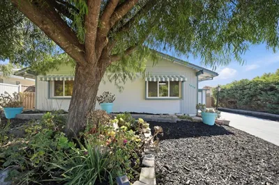 1610 Bluebell Drive photo 2