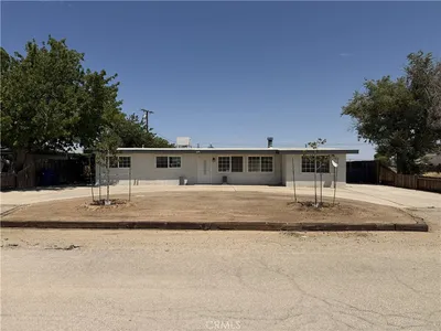 8537 Tamarack