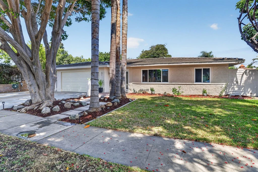 Main