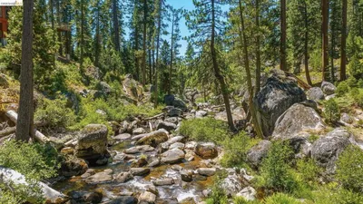 31500 Old Strawberry Rd, Strawberry, CA 95364