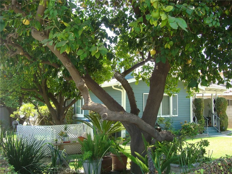Photo 2 of 9420 OLIVE Street