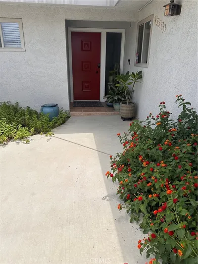 43815 Marigold photo 2