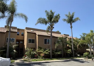 306 Coral Reef 50