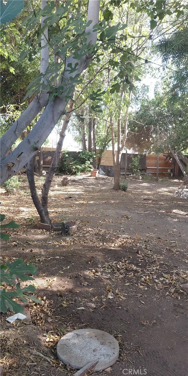 Photo 2 of 11137 Freer Avenue