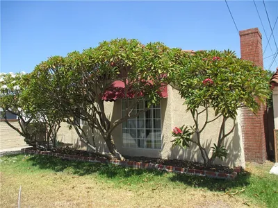 3511 California Street photo 2