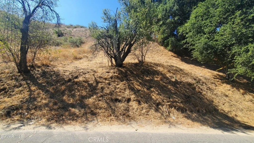 Interior 3