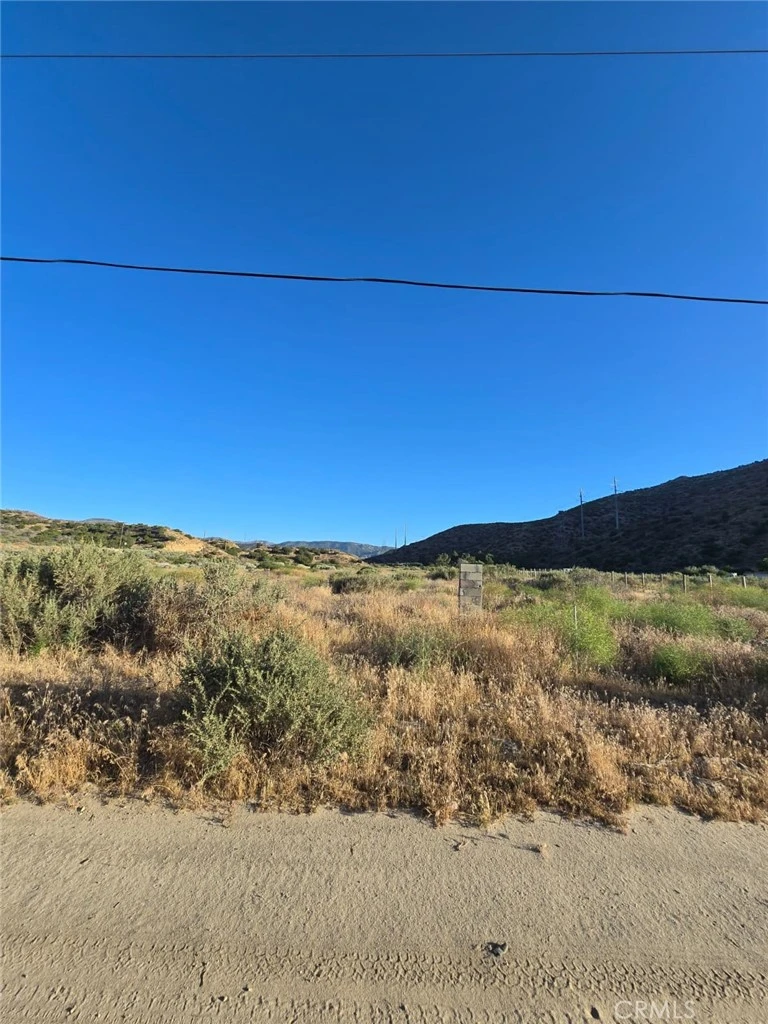 Interior 3