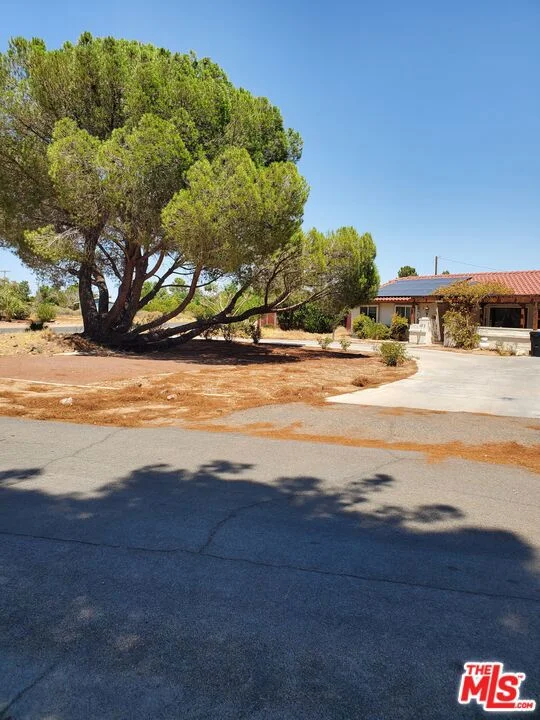 13435 Tioga Road photo 2