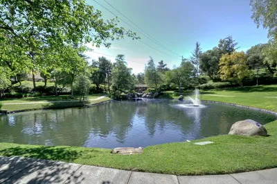 975 Rose Arbor Drive photo 2