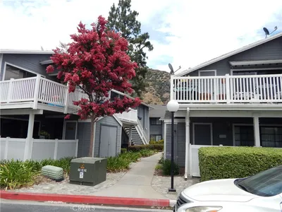 1732 Crystal Canyon Drive