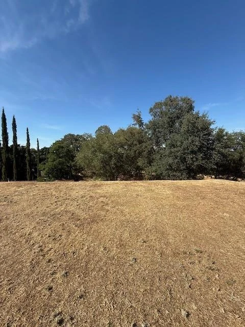 Photo 10 of 159 Mesa De Oro Circle