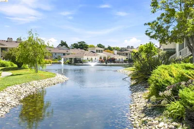 109 Shoreline Ct