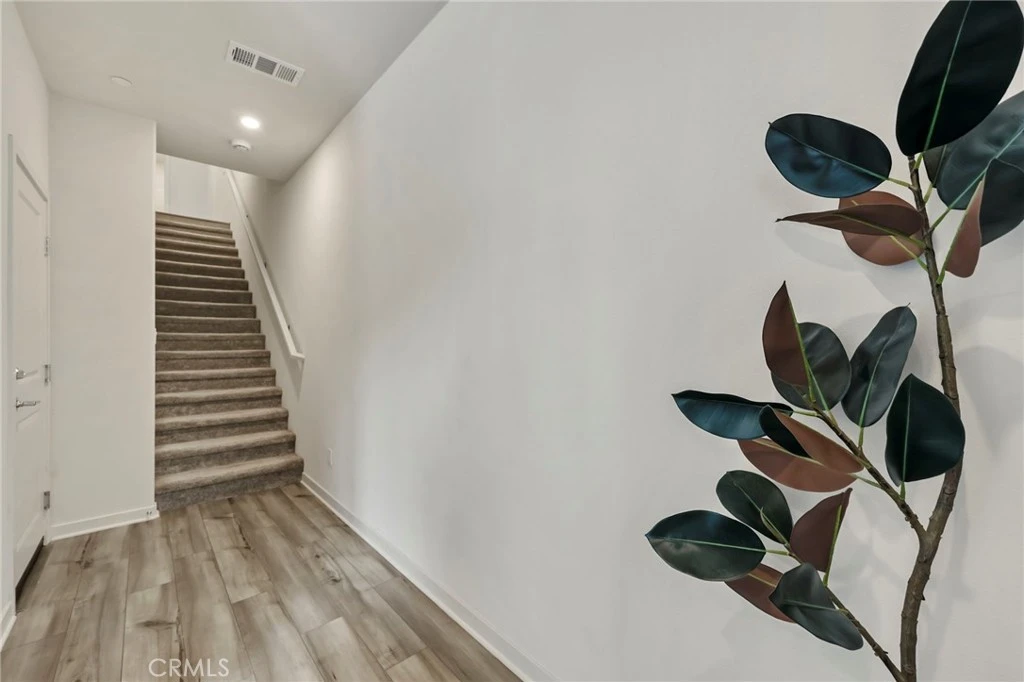 Interior 2